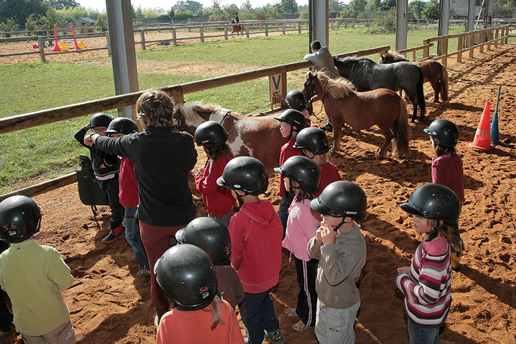 Classe poney pour comprendre le monde rural et s'initier à la pratique